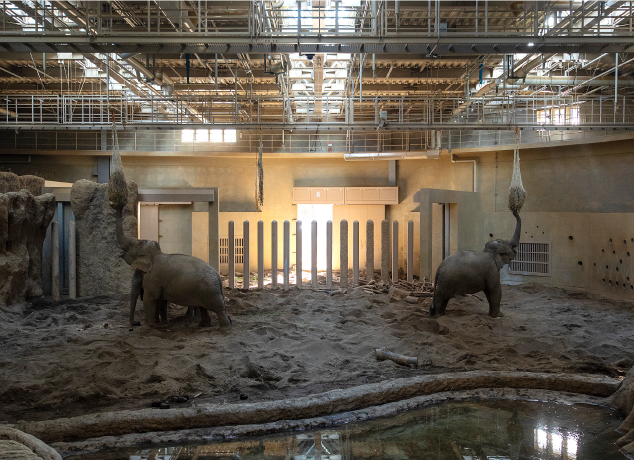 命をつなぎ 未来を想い 心を育む動物園